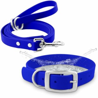 Regal Dog Waterproof Collar & Leash Set