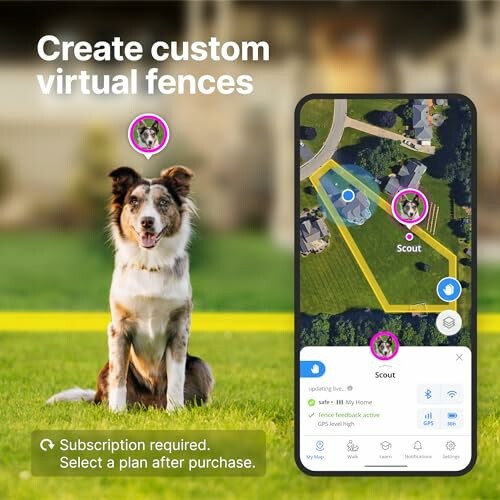 Dog with smartphone displaying virtual fencing app