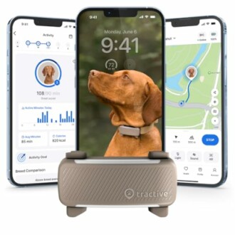 Dog activity tracker app displayed on smartphones with dog collar tracker.
