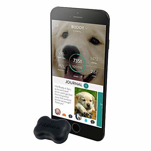 Smartphone displaying a dog activity tracking app with a fitness tracker device.