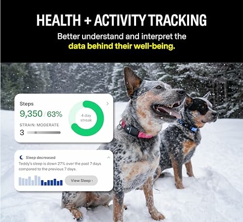 Two dogs in snow with health activity tracking overlay.