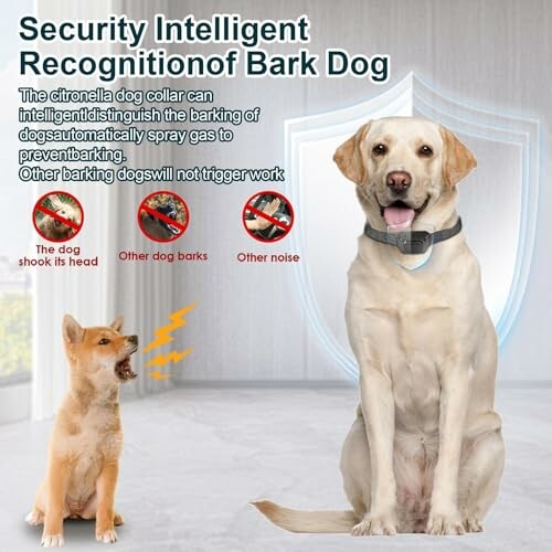 Wacnem Citronella Bark Collar