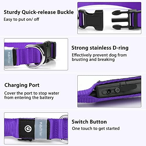 Diagram showing features of a dog collar with quick-release buckle, D-ring, charging port, and switch button.