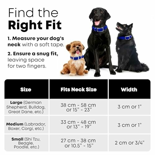 Dog collar size guide with three dogs and measurement instructions.