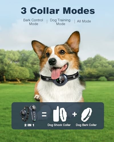 Colofrog 2-in-1 Dog Shock Collar