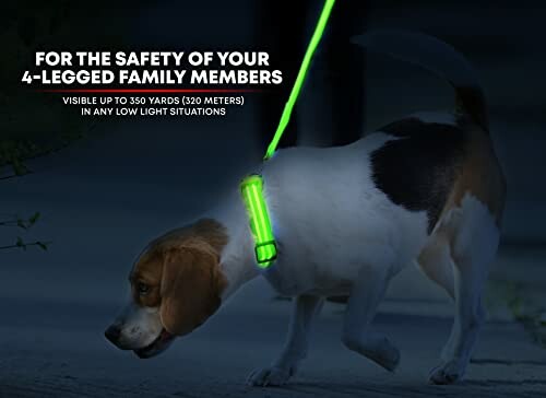 Illumiseen LED Dog Collar