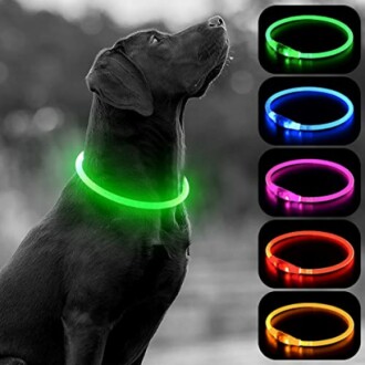 HIGO Light Up Dog Collar