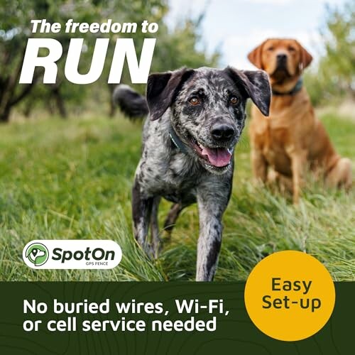 SpotOn GPS Dog Fence Collar