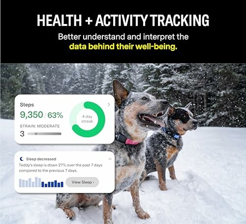 Dogs in snow with health activity tracking interface.