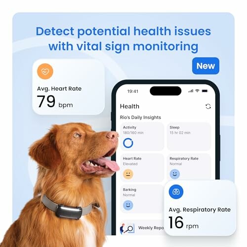 Dog with health monitoring app showing vital signs.