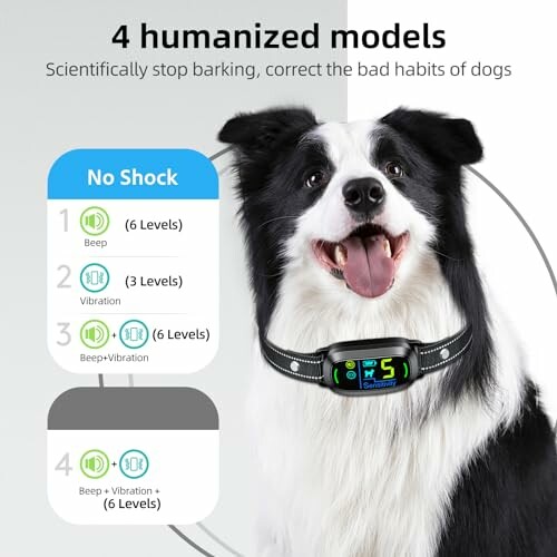 Dog wearing a no-shock training collar with control levels displayed.
