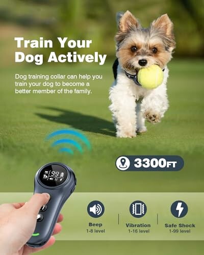 Dog running with ball, promoting dog training collar with remote control and features.