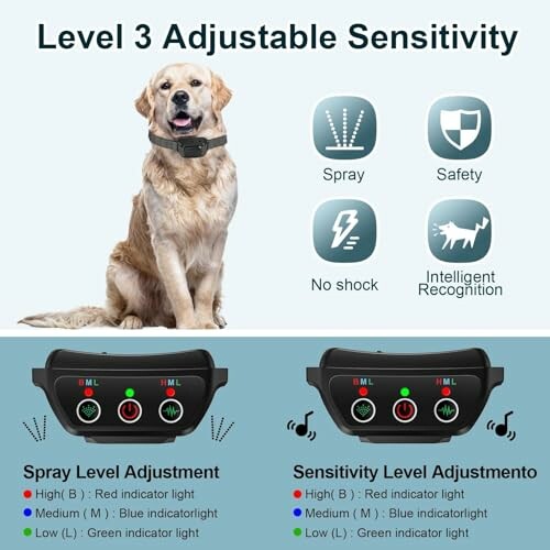 Dog wearing a training collar with adjustable sensitivity and spray level options.