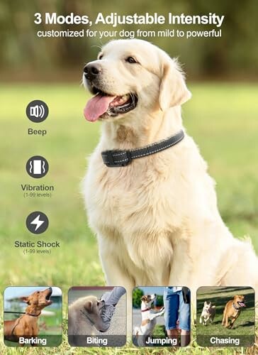 FunniPets Dog Shock Collar 2 Pack