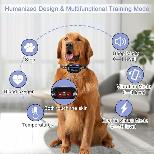 Dog wearing a training collar with various mode options displayed.