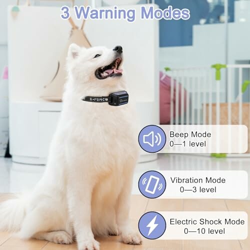 Dog wearing a training collar with three warning modes displayed.