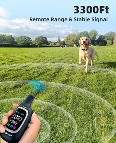 Person using a remote for a dog training collar in a field with a dog running towards them.