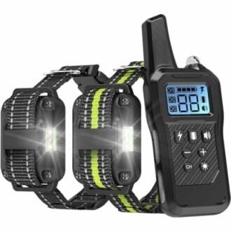Dog training collar set with remote and two collars.