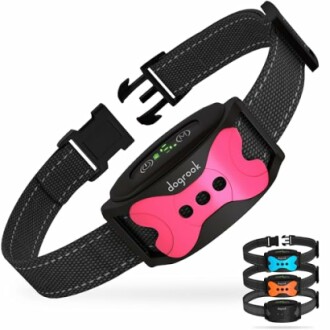 Dog training collar with colored faceplates.