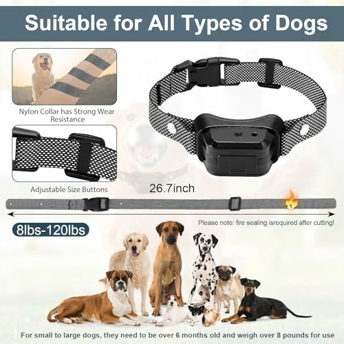 Adjustable nylon dog collar suitable for all types of dogs, featuring strong wear resistance and adjustable size for dogs 8lbs to 120lbs.