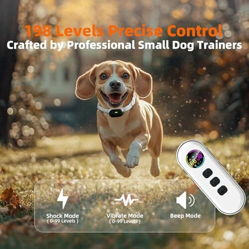 Happy dog running with training collar and remote control display.