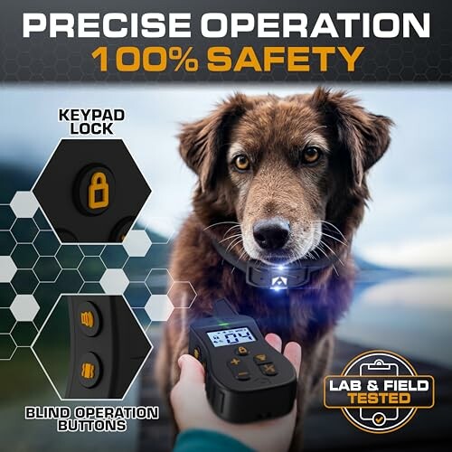 Dog wearing a training collar with remote control and safety features.