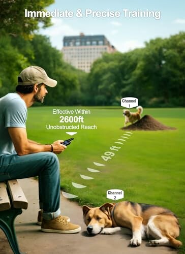 Man using a remote to train dogs with a 2600ft range in a park.