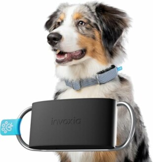 Minitailz Health & GPS Tracker
