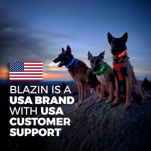 Three dogs with glowing collars sitting on a rock at dusk with USA flag and text about USA brand and support.