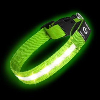 Green LED dog collar with glow effect