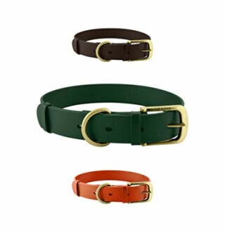 Three leather dog collars in brown, green, and orange.