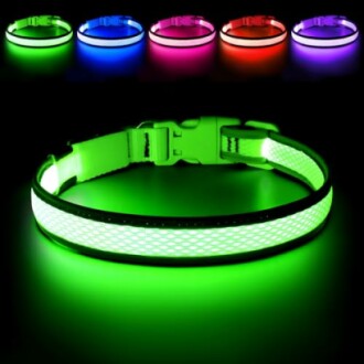 Multicolor LED dog collar with glowing lights.