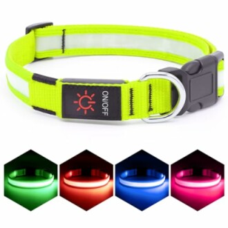 Vizpet LED Dog Collar