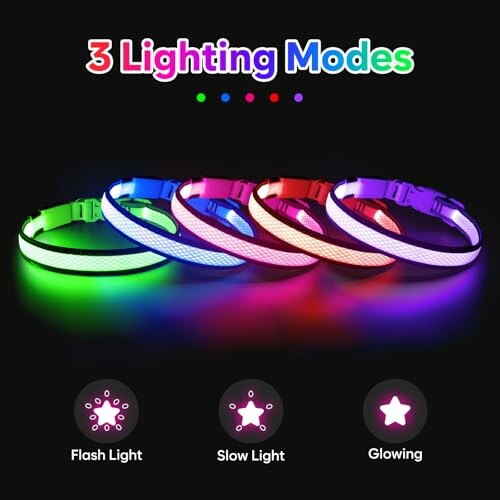 LED dog collars in various colors and lighting modes.