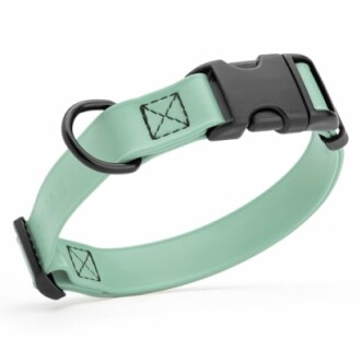 Mint green dog collar with black buckle and D-ring