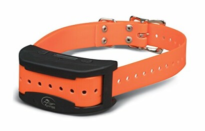 Orange dog training collar with black device