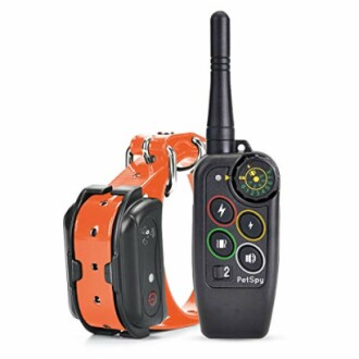 Electronic pet training collar with remote control.