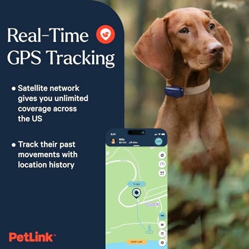 Dog with GPS collar and tracking app interface.