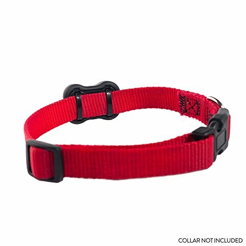 Red adjustable dog collar on white background