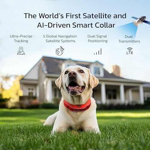 SATELLAI GPS Dog Collar