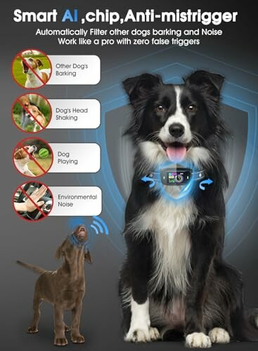 Dog wearing AI smart collar with noise filtering features.