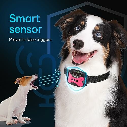 Dog wearing smart sensor collar, smaller dog barking nearby.