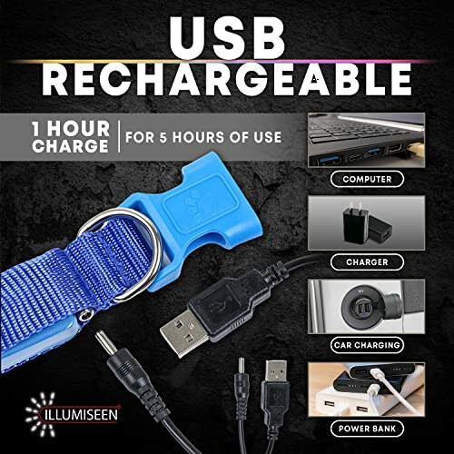 USB rechargeable dog collar with charging options: computer, charger, car charging, power bank.