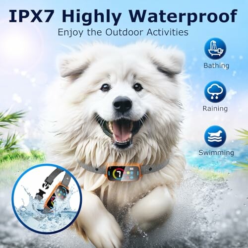 Dog wearing waterproof collar in water.