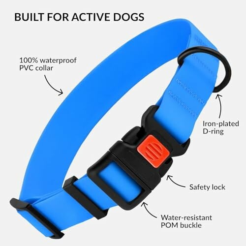 CollarDirect Waterproof Dog Collar