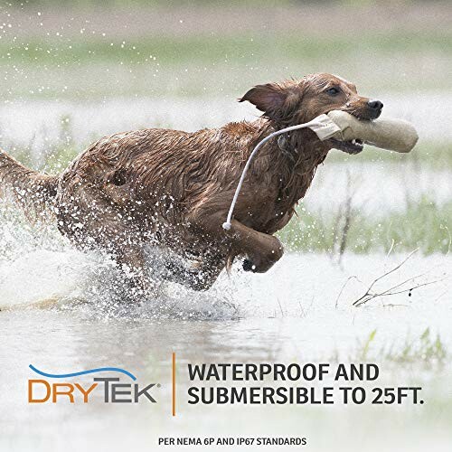 Dog retrieving a toy in water, promoting waterproof gear.